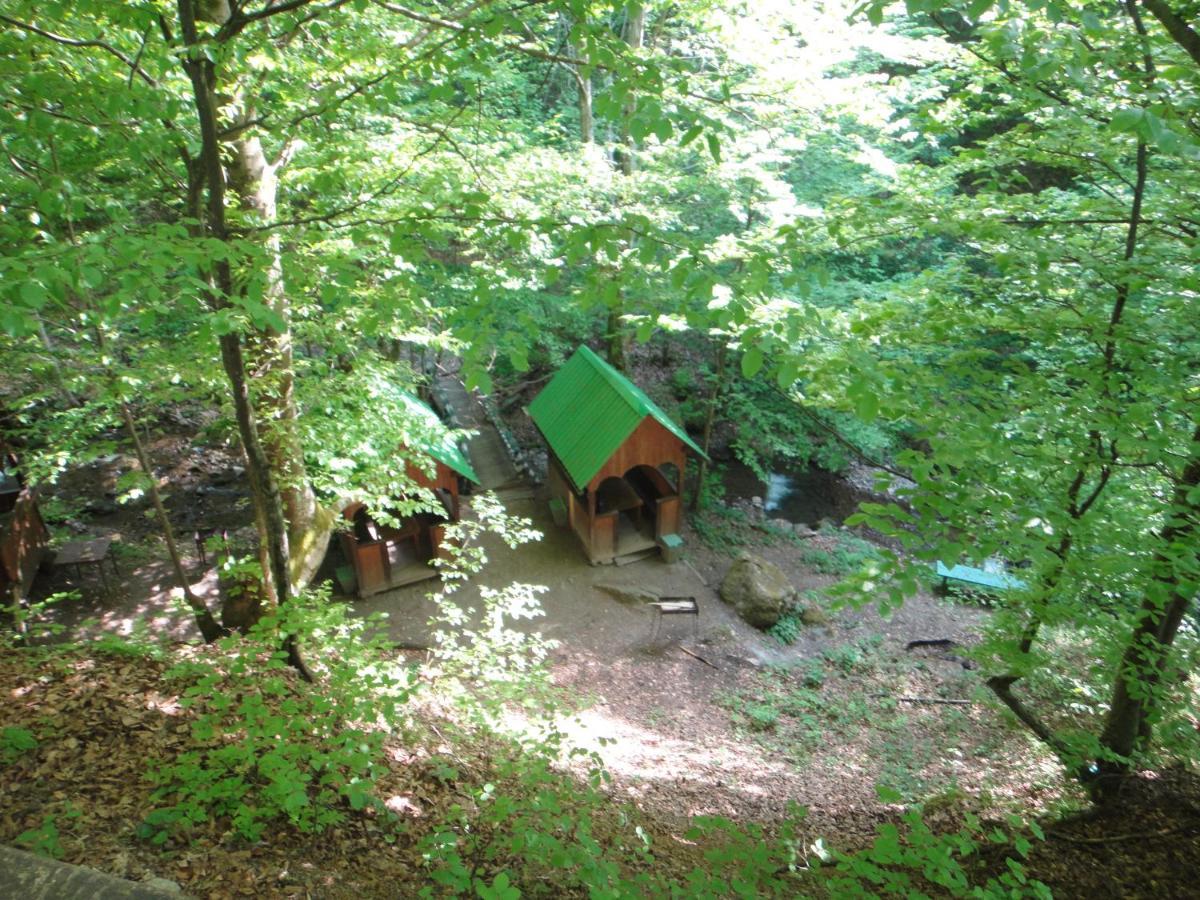 Kvasnyi Lodge Kobyletska Polyana